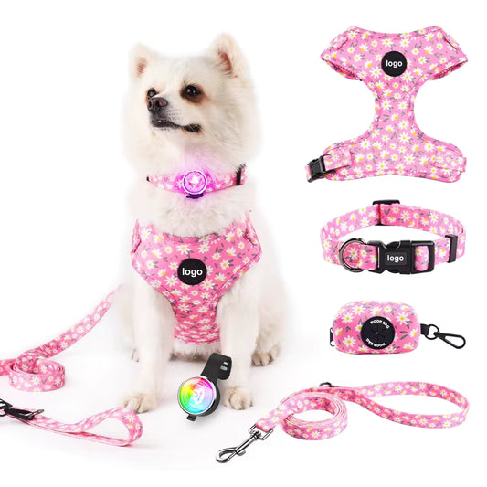 PETTORINA CANE